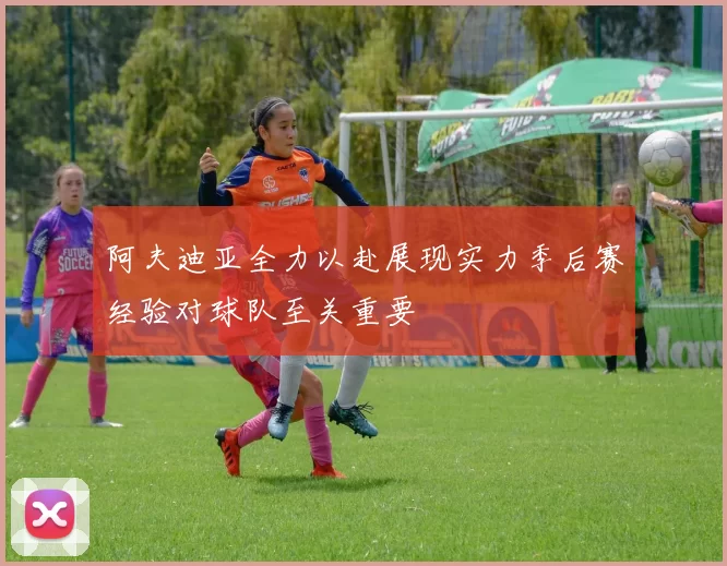 阿夫迪亚全力以赴展现实力季后赛经验对球队至关重要