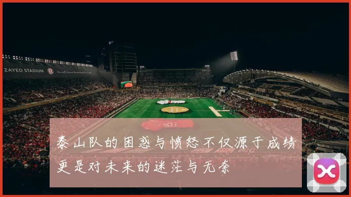 泰山队的困惑与愤怒不仅源于成绩更是对未来的迷茫与无奈